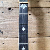 Vega Tubaphone No 3 Plectrum Banjo 1927 Needs Work - Mahar's Vintage Guitars