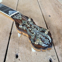 Vega Whyte Laydie No. 7 5 String Banjo Original Case Fairbanks 1906 - 1907 - Mahar's Vintage Guitars