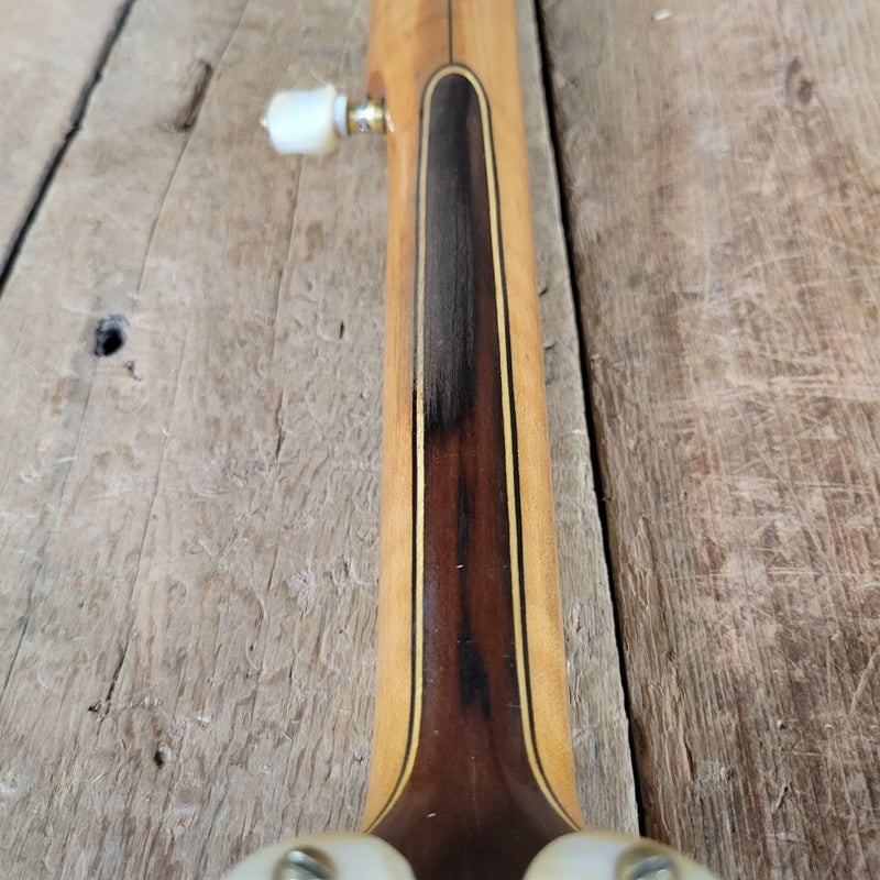 Vega Whyte Laydie No. 7 5 String Banjo Original Case Fairbanks 1906 - 1907 - Mahar's Vintage Guitars