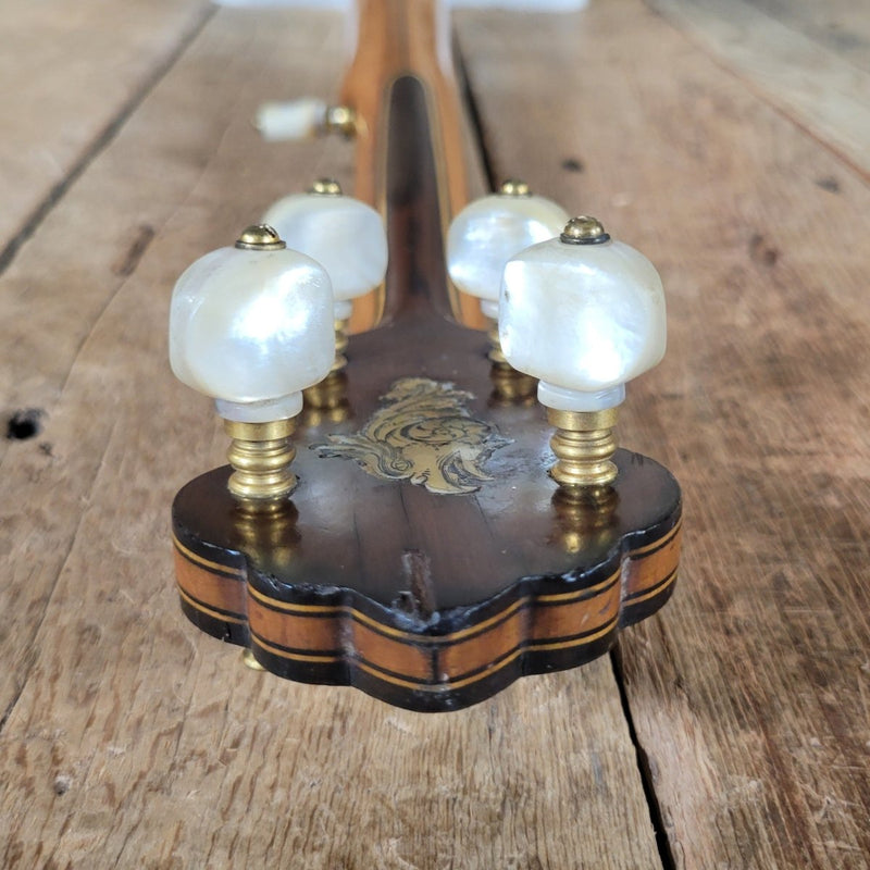 Vega Whyte Laydie No. 7 5 String Banjo Original Case Fairbanks 1906 - 1907 - Mahar's Vintage Guitars