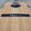 Vintage 1972 Giannini Classical Guitar Brazilian Rosewood with Hard Case - Mahar's Vintage Guitars