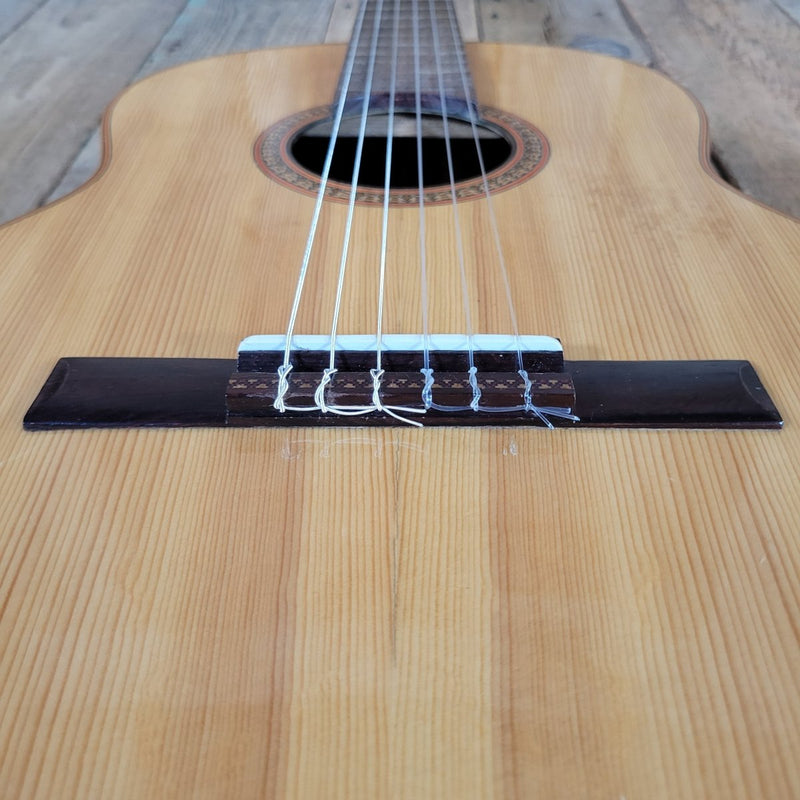 Vintage 1972 Giannini Classical Guitar Brazilian Rosewood with Hard Case - Mahar's Vintage Guitars