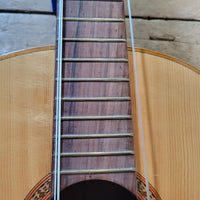 Vintage 1972 Giannini Classical Guitar Brazilian Rosewood with Hard Case - Mahar's Vintage Guitars