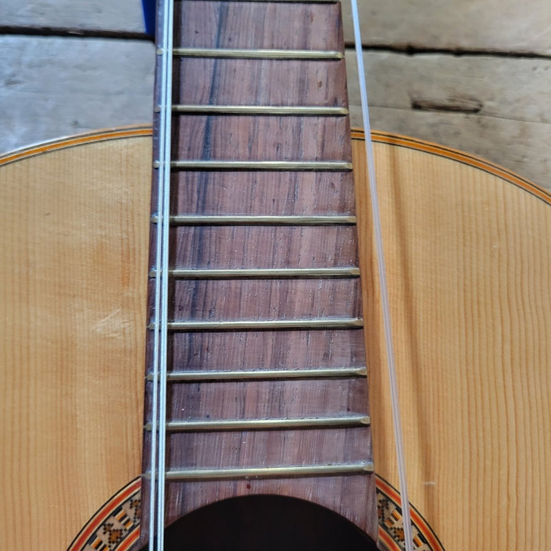 Vintage 1972 Giannini Classical Guitar Brazilian Rosewood with Hard Case - Mahar's Vintage Guitars