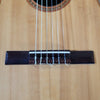 Vintage 1972 Giannini Classical Guitar Brazilian Rosewood with Hard Case - Mahar's Vintage Guitars
