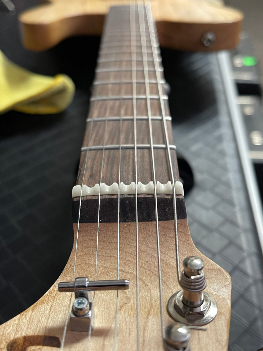 SOLD -Moar Morty T-style Custom Guitar