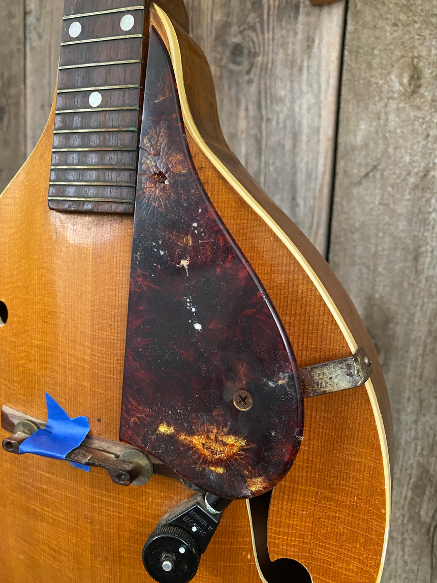 SOLD - Gibson A-40 Mandolin Project 1940s 1950s