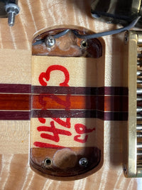 SOLD - Alembic 2006 Custom "Little Darling" ILG6 - Mahar's Vintage Guitars