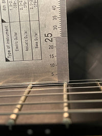 SOLD - Alembic 2006 Custom "Little Darling" ILG6 - Mahar's Vintage Guitars