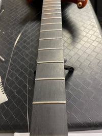 SOLD - Alembic 2006 Custom "Little Darling" ILG6 - Mahar's Vintage Guitars
