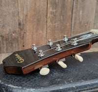 SOLD - Epiphone Al Caiola Standard 1968 Near Mint Condition with Hang Tag - Mahar's Vintage Guitars