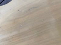 SOLD - Fender Esquire 1959 - Mahar's Vintage Guitars