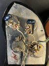 SOLD - Fender Telecaster Custom 1973 Lightweight with hang tag - Mahar's Vintage Guitars