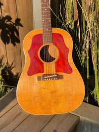 SOLD - Gibson J - 50 1964 Rare Double Pickguard - Mahar's Vintage Guitars