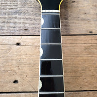 SOLD - Gretsch Chet Atkins Country Gentleman Model 7670 - 1973 - Mahar's Vintage Guitars