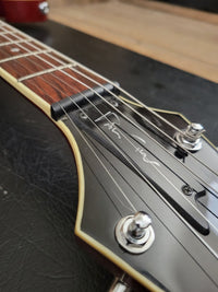 SOLD - Ibanez FRM 250 Paul Gilbert 25th Anniversary Limited Edition 2014 - Mahar's Vintage Guitars