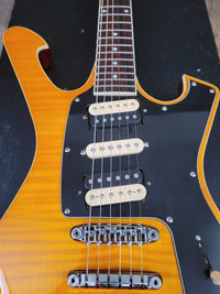 SOLD - Ibanez FRM 250 Paul Gilbert 25th Anniversary Limited Edition 2014 - Mahar's Vintage Guitars