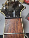 SOLD - Ibanez FRM 250 Paul Gilbert 25th Anniversary Limited Edition 2014 - Mahar's Vintage Guitars